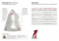 ŻAGIEL ONESAILS OPTIMIST 35-43 KG, P1- GM, 86036 - 4