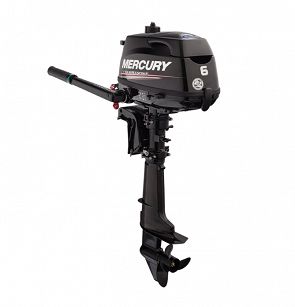 SILNIK MERCURY F6MLH 48611 