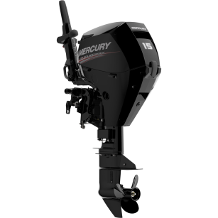 SILNIK MERCURY F15MLH EFI 48624